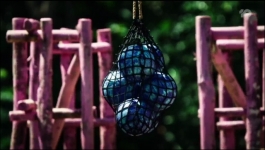 Australian Survivor - Season 14 Episode 04